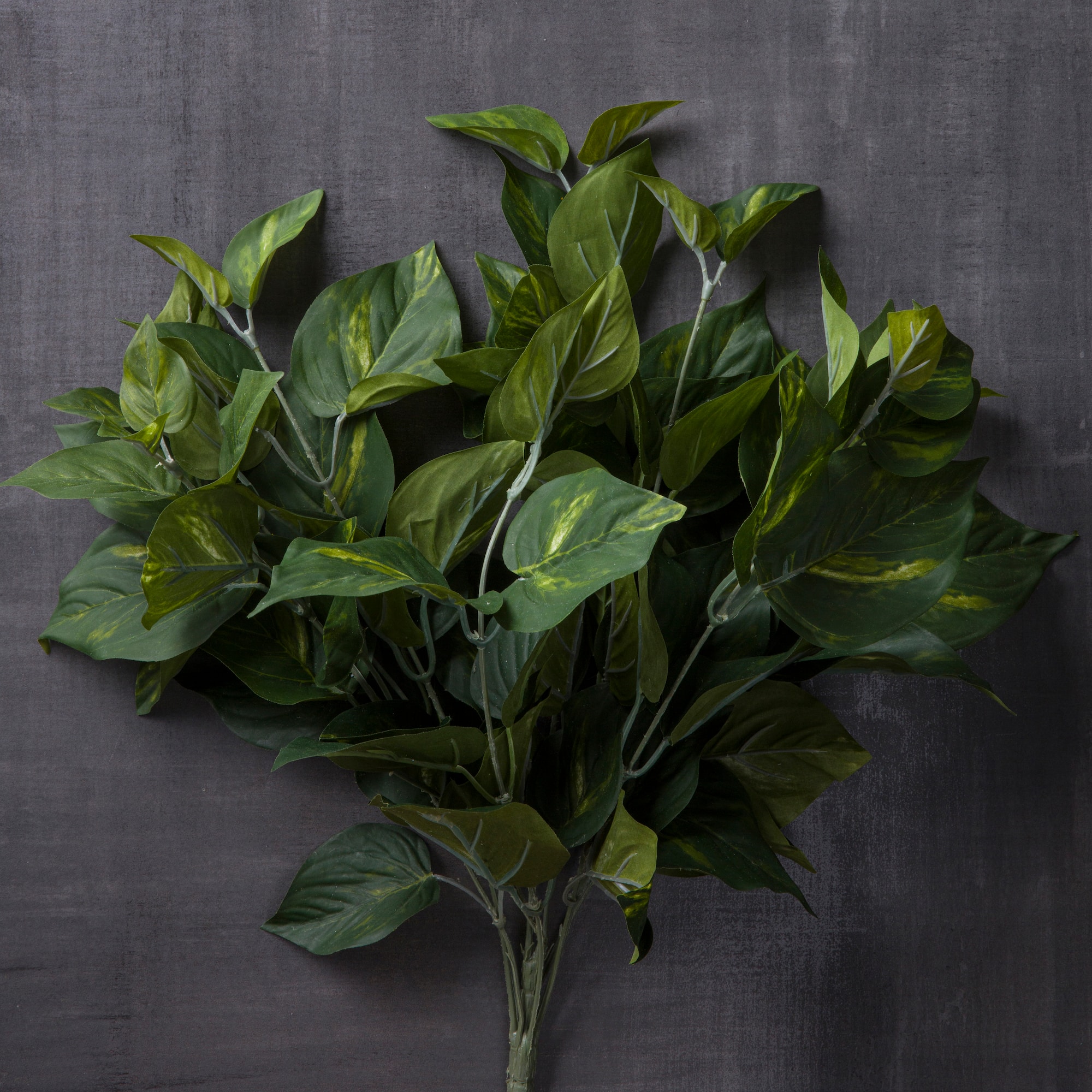 12 Pack: Pothos Bush by Ashland® Real Touch™